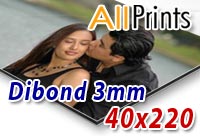 Dibond 3mm F.to 40x220